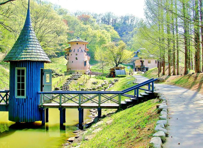 Khám phá công viên trẻ em Akebono(あけぼの子どもの森公園)