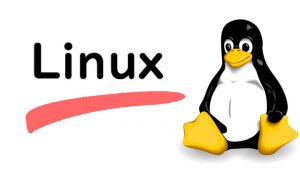 Những câu lệnh Linux hay dùng trong dự án