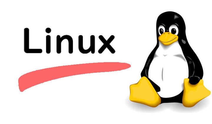 Những câu lệnh Linux hay dùng trong dự án